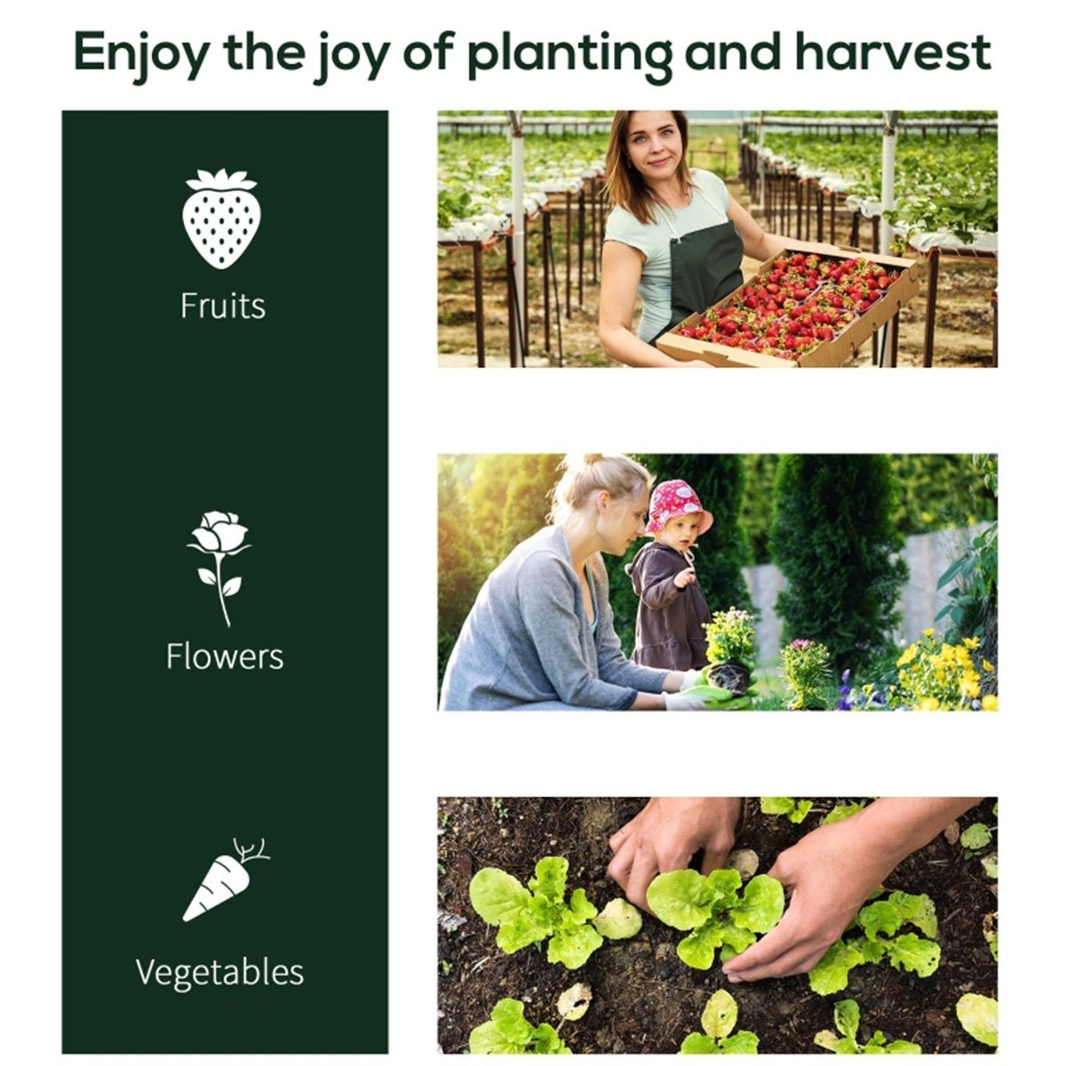 Mini Walk - in Greenhouse - plants - express.com