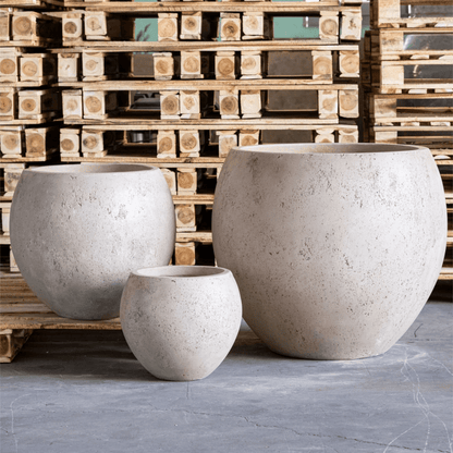 Orbello XXL 110cm Truffle Sphere Planter – Bold Concrete Elegance for Any Space - plants - express.com