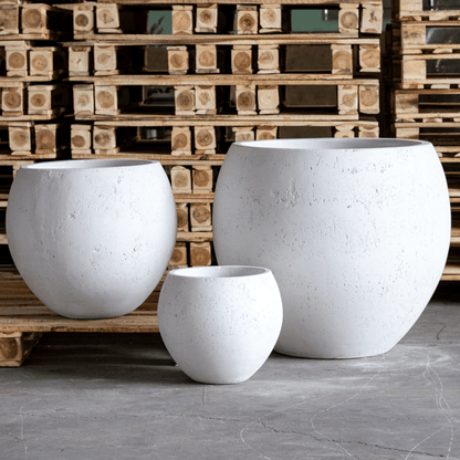 Orbello XXL White Mist Cement Sphere Planter - 110cm Elegance for Bold Landscapes - plants - express.com