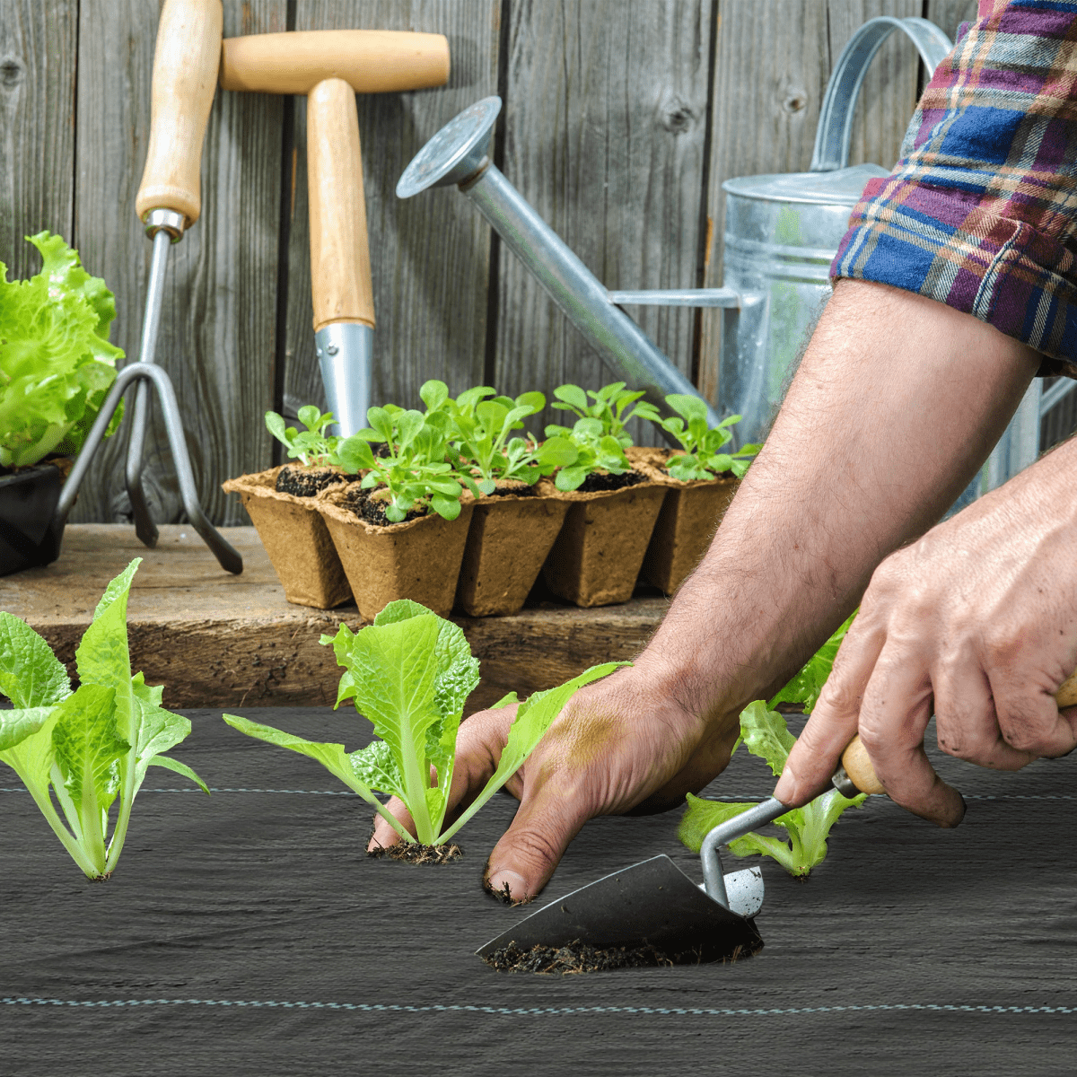 Outsunny 2m x 90m Weed Control Membrane, Heavy Duty Weed Barrier Fabric - plants - express.com