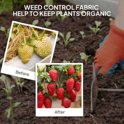 Outsunny 2m x 90m Weed Control Membrane, Heavy Duty Weed Barrier Fabric - plants - express.com