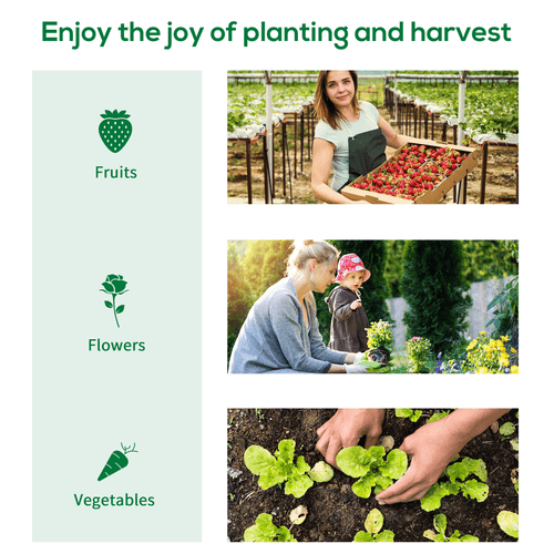 Outsunny 3x2m Polytunnel Greenhouse - Year - Round Growth with Steel Frame & Ventilation - plants - express.com