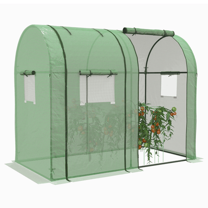 Outsunny Dual - Room Tomato Greenhouse with Roll - up Doors & Mesh Windows - plants - express.com