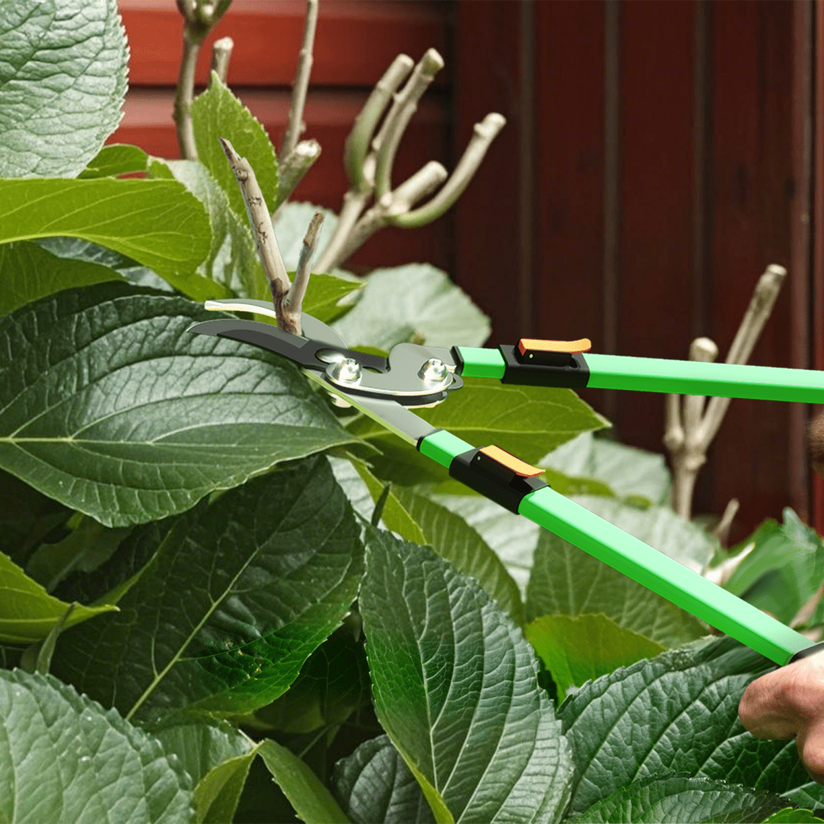 Outsunny Telescopic Garden Shears Set – Prune with Precision & Ease! - plants - express.com