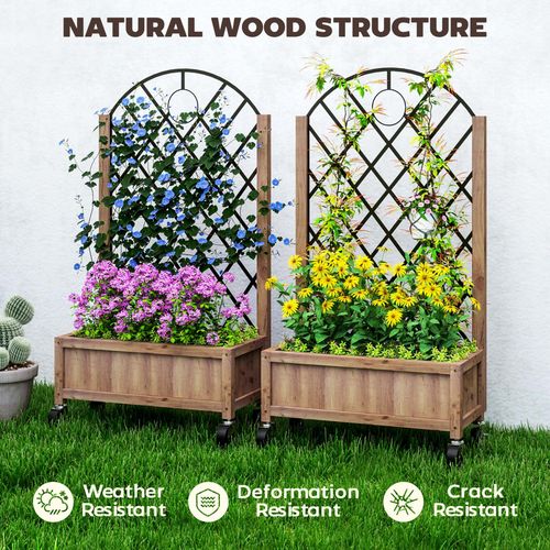 Outsunny Wooden Raised Garden Bed with Mobile Planter & Trellis for Easy Gardening - plants - express.com
