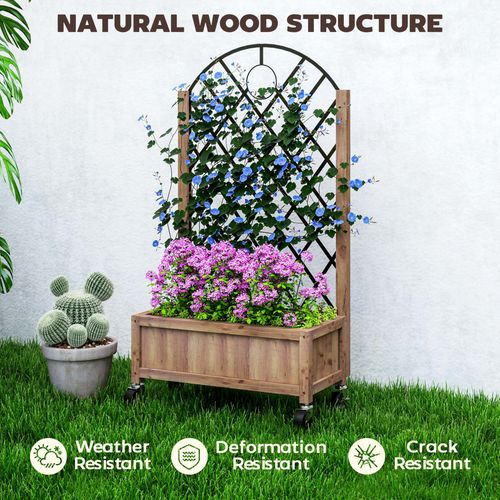 Outsunny Wooden Raised Garden Bed with Mobile Planter & Trellis for Easy Gardening - plants - express.com