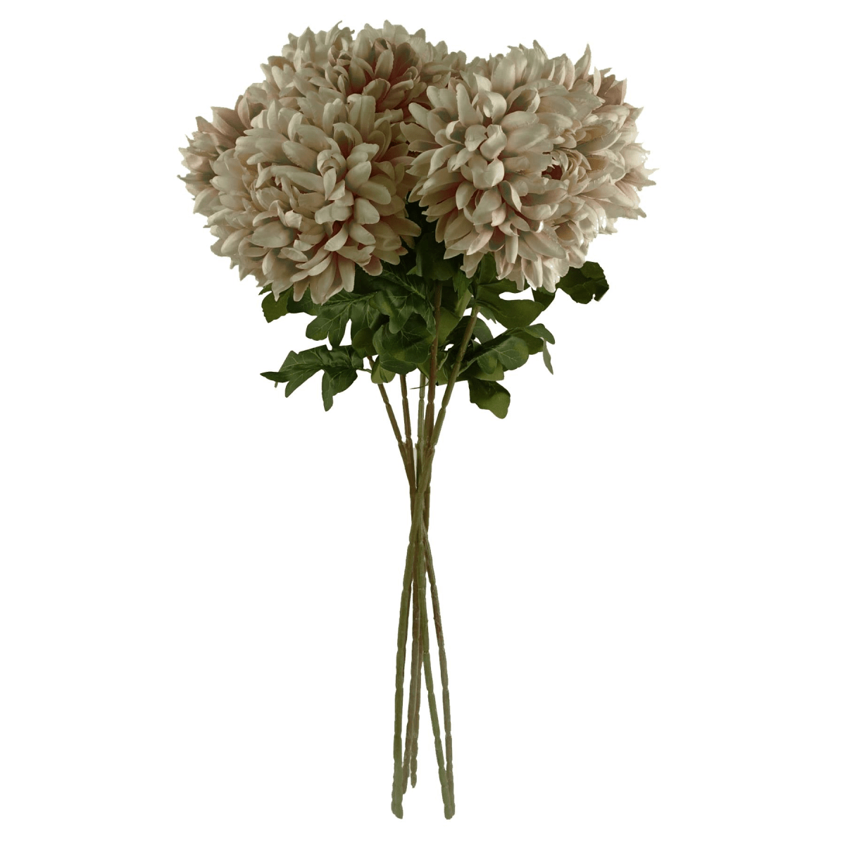 Pack of 6 Extra Large Silk Chrysanthemum Stems - Elegant Mushroom Blooms - plants - express.com