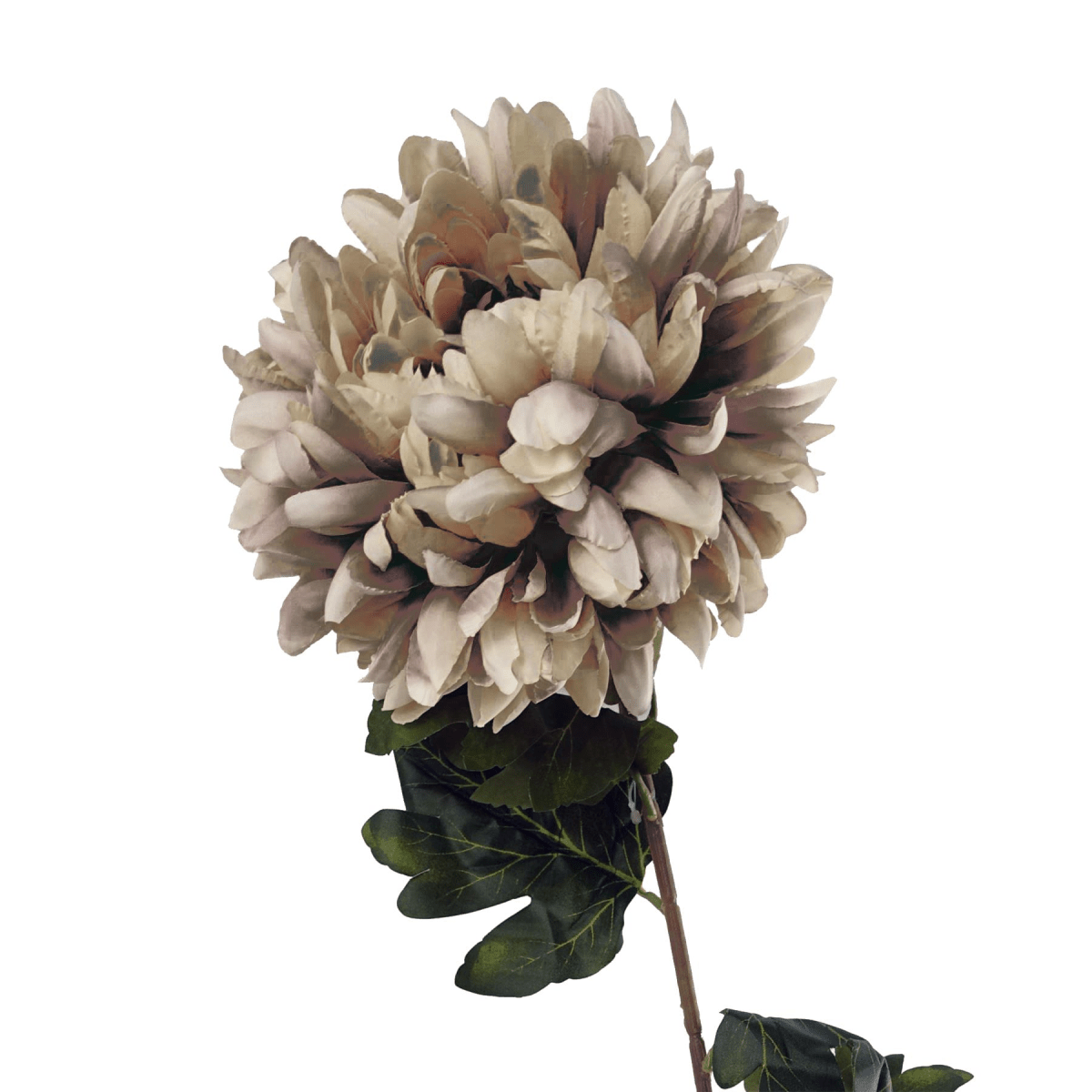 Pack of 6 Extra Large Silk Chrysanthemum Stems - Elegant Mushroom Blooms - plants - express.com