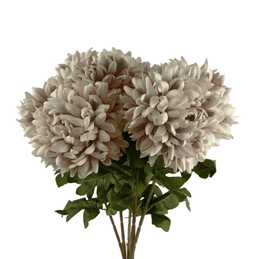 Pack of 6 Extra Large Silk Chrysanthemum Stems - Elegant Mushroom Blooms - plants - express.com