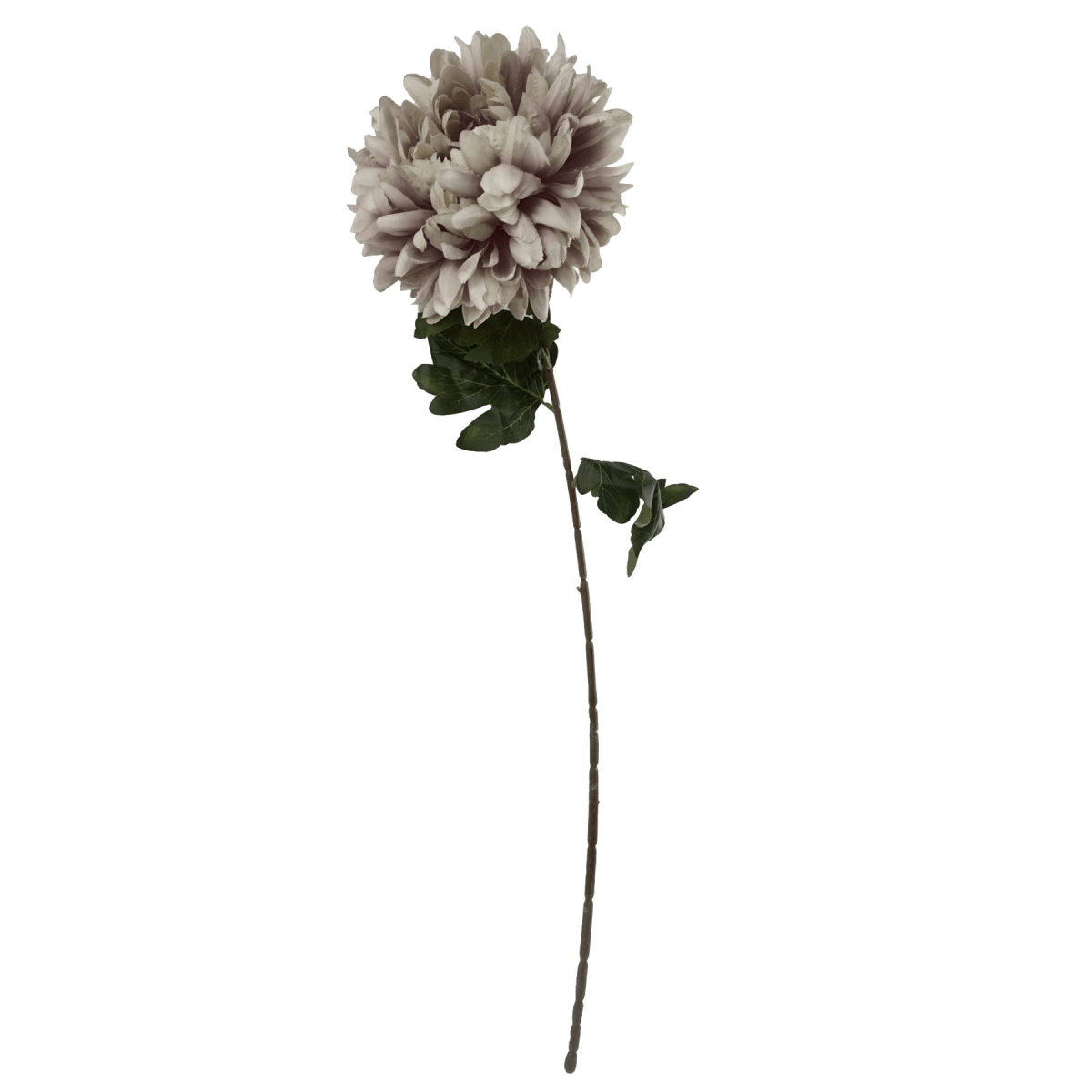Pack of 6 Extra Large Silk Chrysanthemum Stems - Elegant Mushroom Blooms - plants - express.com