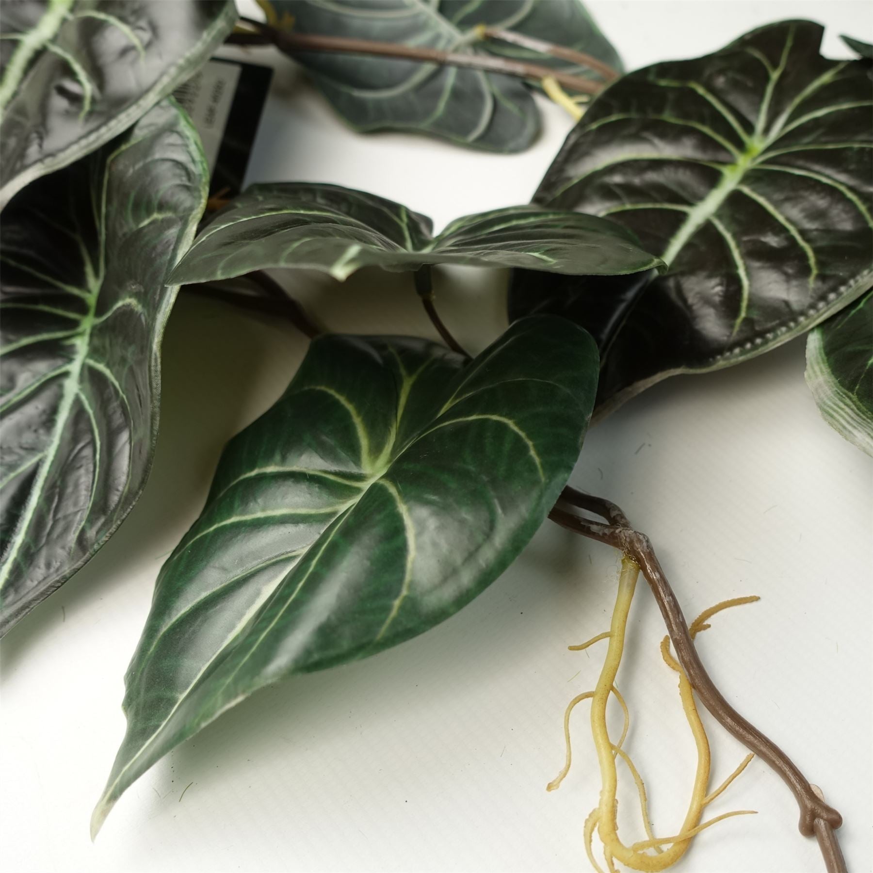 Pack of 6 Realistic 120cm Alocasia Dragon Scale Hanging Plants for Stunning Displays - plants - express.com