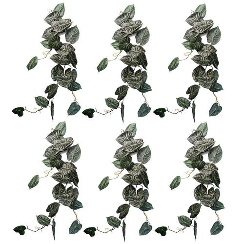 Pack of 6 Realistic 120cm Alocasia Dragon Scale Hanging Plants for Stunning Displays - plants - express.com