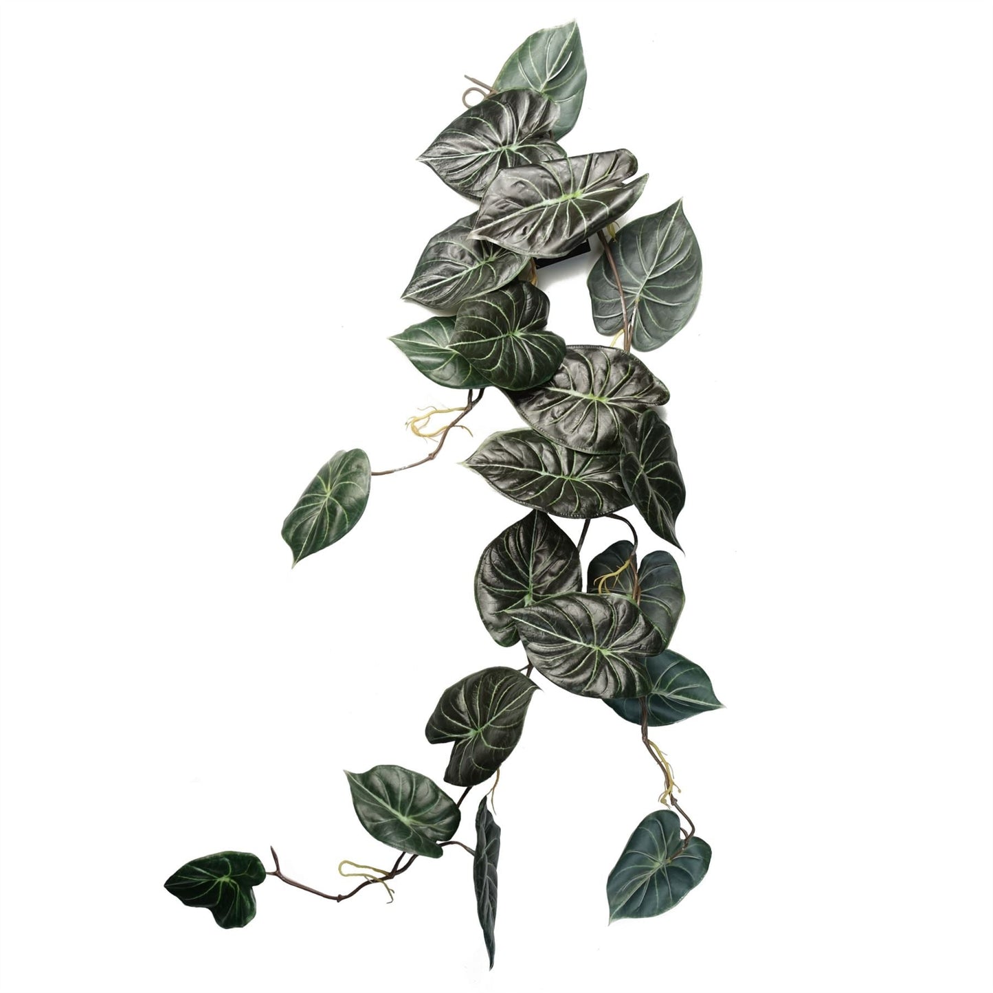 Pack of 6 Realistic 120cm Alocasia Dragon Scale Hanging Plants for Stunning Displays - plants - express.com