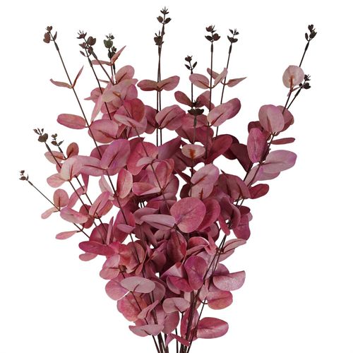 Pack of 6 Realistic Pink Eucalyptus Stems - 80cm Silk Foliage Decor - plants - express.com