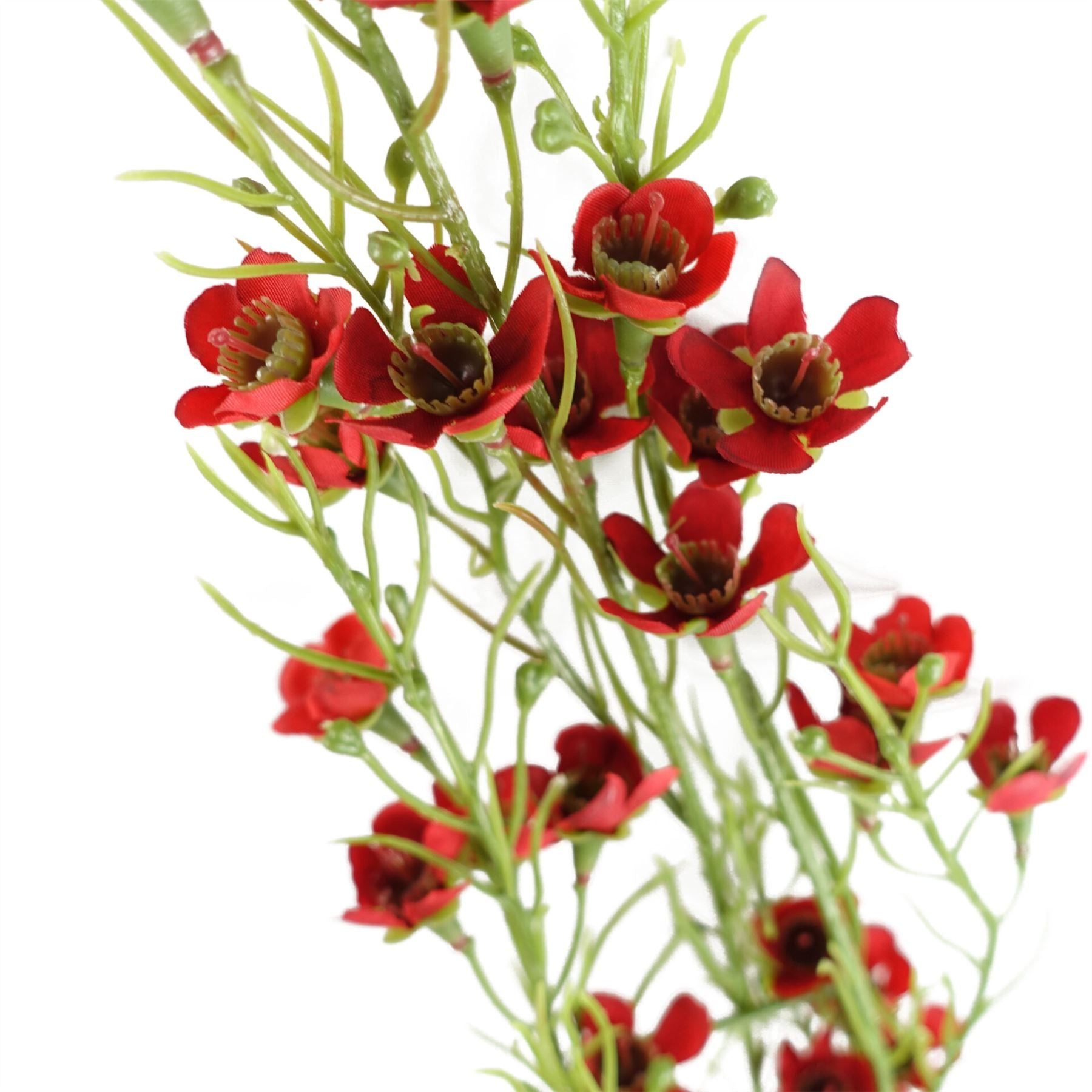 Pack of 6 x 100cm Artificial Foliage Stem with Small Flowers - Red - plants - express.com