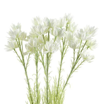 Pack of 6 x 60cm White Starflower Stem - 30 Flowers - plants - express.com