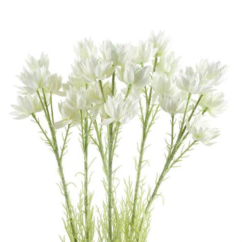 Pack of 6 x 60cm White Starflower Stem - 30 Flowers - plants - express.com