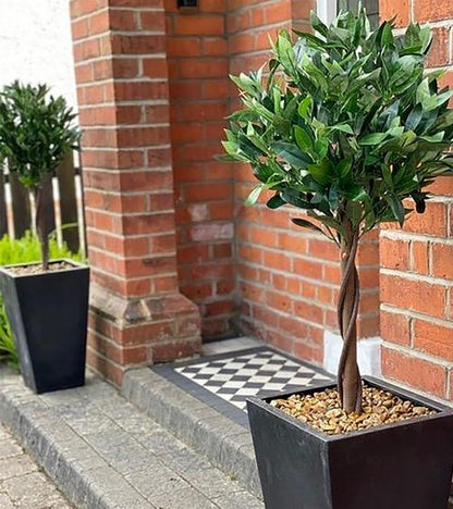 Pair of 120cm (4ft) Twist Natural Artificial Topiary Bay Laurel Ball Trees - plants - express.com