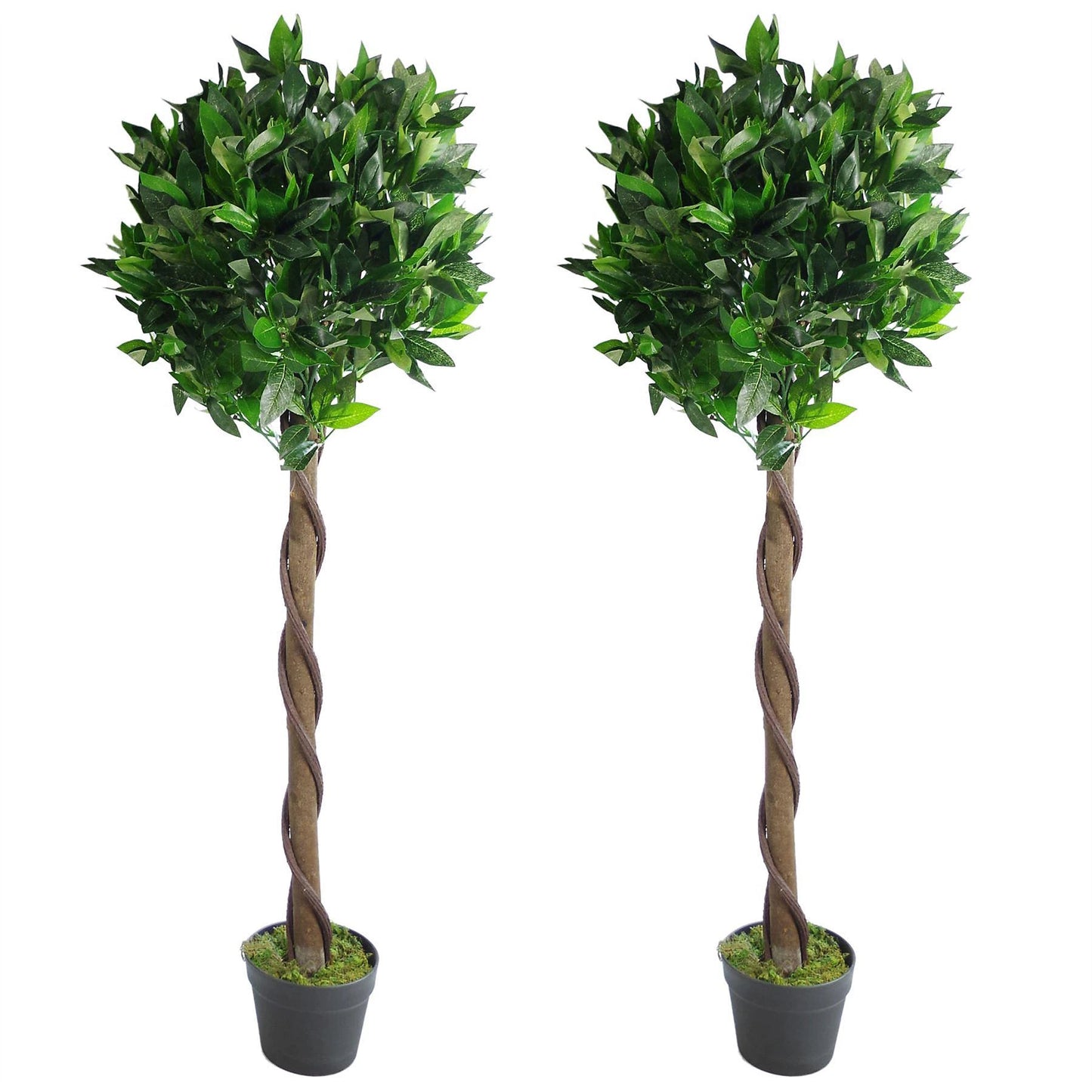 Pair of 120cm (4ft) Twist Natural Artificial Topiary Bay Laurel Ball Trees - plants - express.com