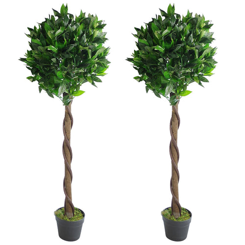 Pair of 120cm (4ft) Twist Natural Artificial Topiary Bay Laurel Ball Trees - plants - express.com