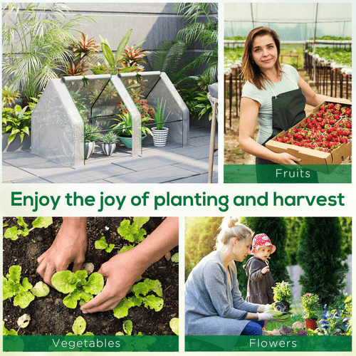 Portable Mini Greenhouse for Plants & Vegetables - Robust, Easy Access Design - plants - express.com