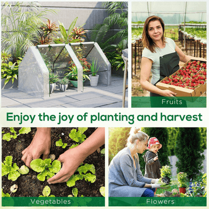 Portable Mini Greenhouse for Plants & Vegetables - Robust, Easy Access Design - plants - express.com
