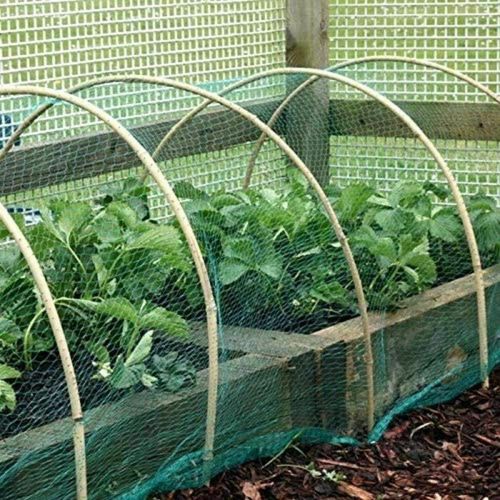 Premium 2M x 10M Garden Netting - Ultimate Protection for Plants & Fruits! - plants - express.com
