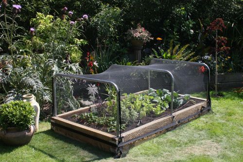 Premium 2M x 10M Garden Netting - Ultimate Protection for Plants & Fruits! - plants - express.com