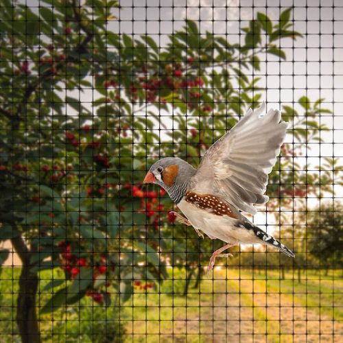 Premium 2M x 10M Garden Netting - Ultimate Protection for Plants & Fruits! - plants - express.com