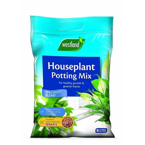 Premium Houseplant Potting Mix - 4L for Thriving Greenery! - plants - express.com