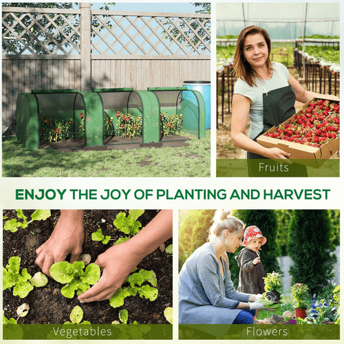 Premium Tunnel Greenhouse: Durable Steel Frame for Ultimate Crop Protection - plants - express.com