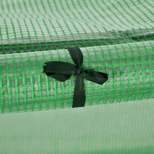 Premium Tunnel Greenhouse: Durable Steel Frame for Ultimate Crop Protection - plants - express.com