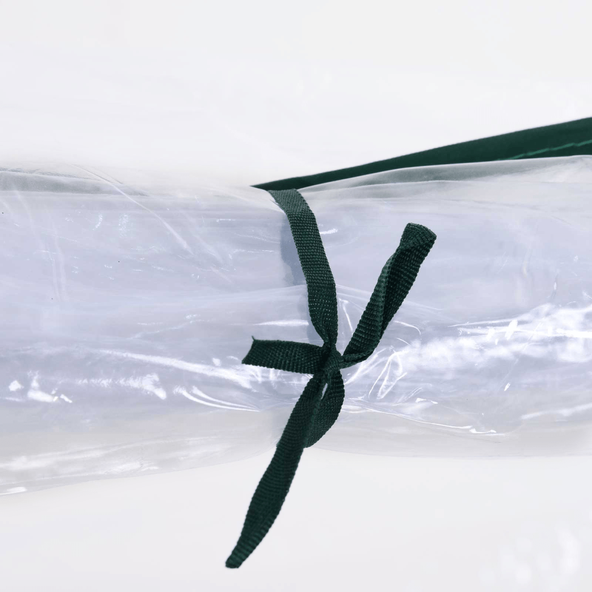 PVC Greenhouse Tunnel Steel Frame Transparent 250x100x80cm - plants - express.com