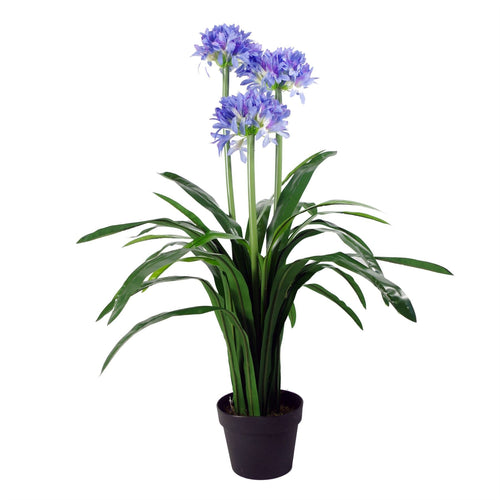 Radiant 90cm Blue Silk Agapanthus – Stunning Lifeslike Artificial Plant! - plants - express.com