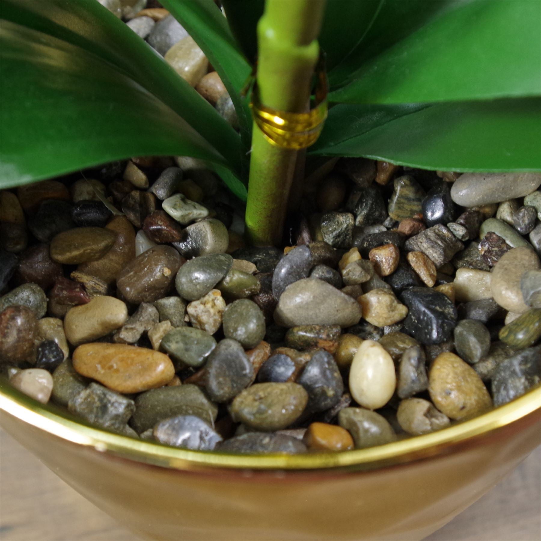 Real Touch Light Pink Phalaenopsis Orchid - Elegant Silver Honeycomb Pot - plants - express.com