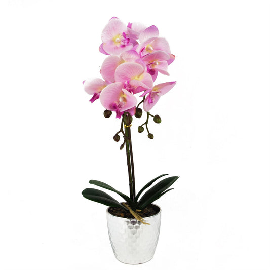 Real Touch Light Pink Phalaenopsis Orchid - Elegant Silver Honeycomb Pot - plants - express.com