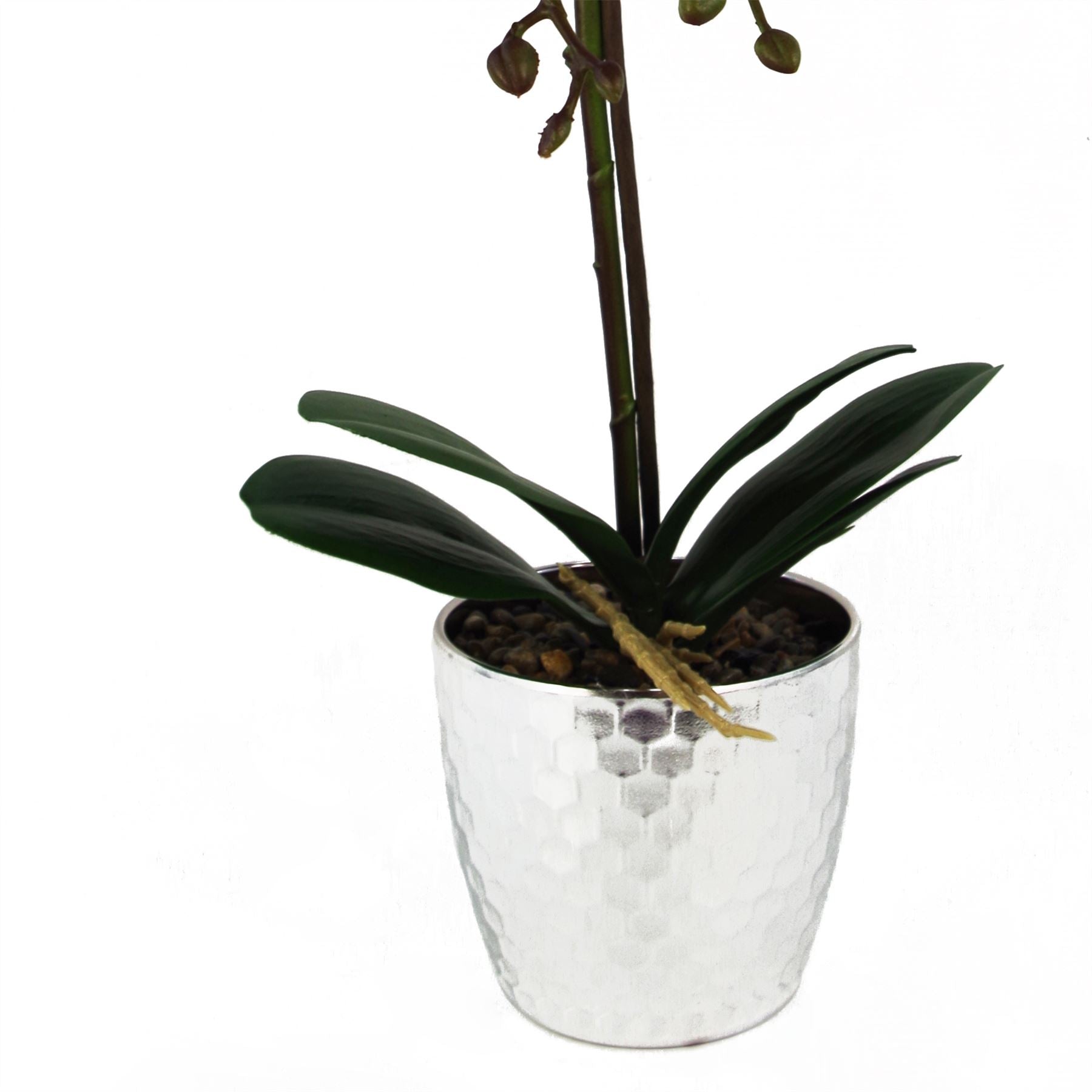 Real Touch Light Pink Phalaenopsis Orchid - Elegant Silver Honeycomb Pot - plants - express.com
