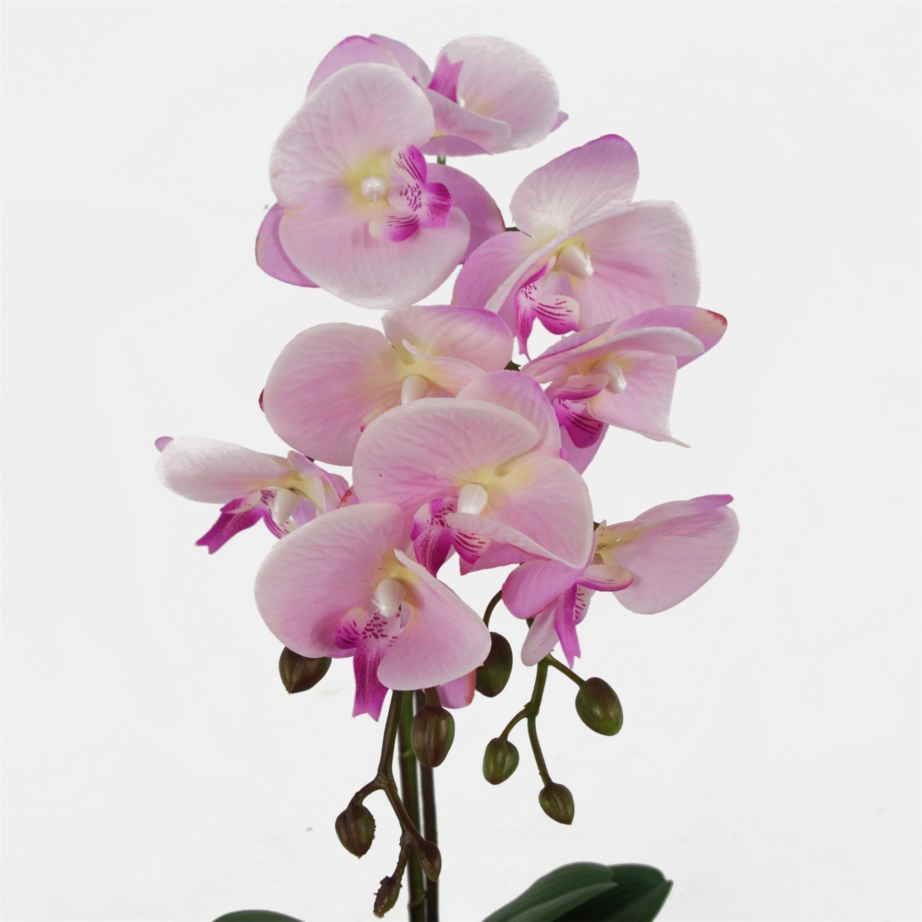 Real Touch Light Pink Phalaenopsis Orchid - Elegant Silver Honeycomb Pot - plants - express.com