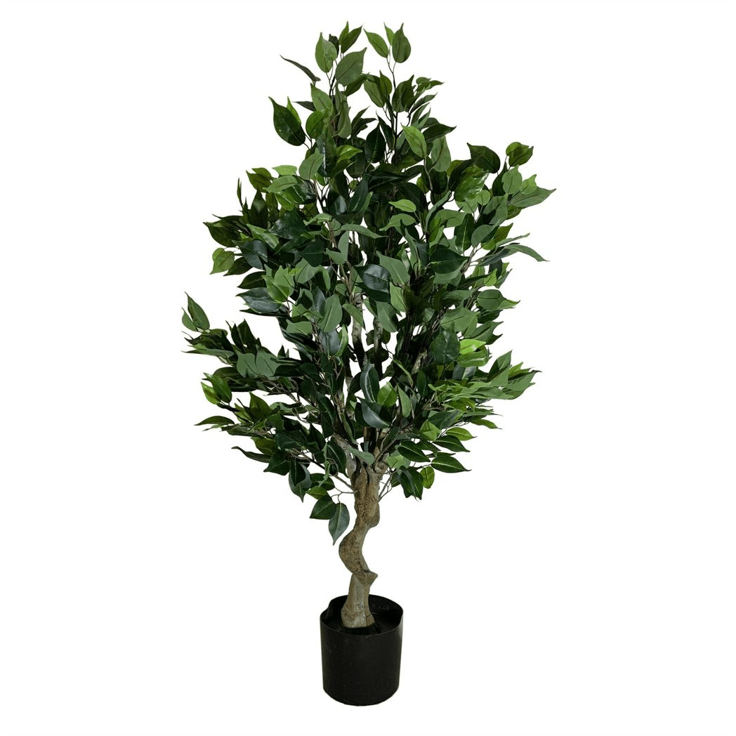 Realistic 100cm Ficus Tree with Silver Curve Planter - plants - express.com