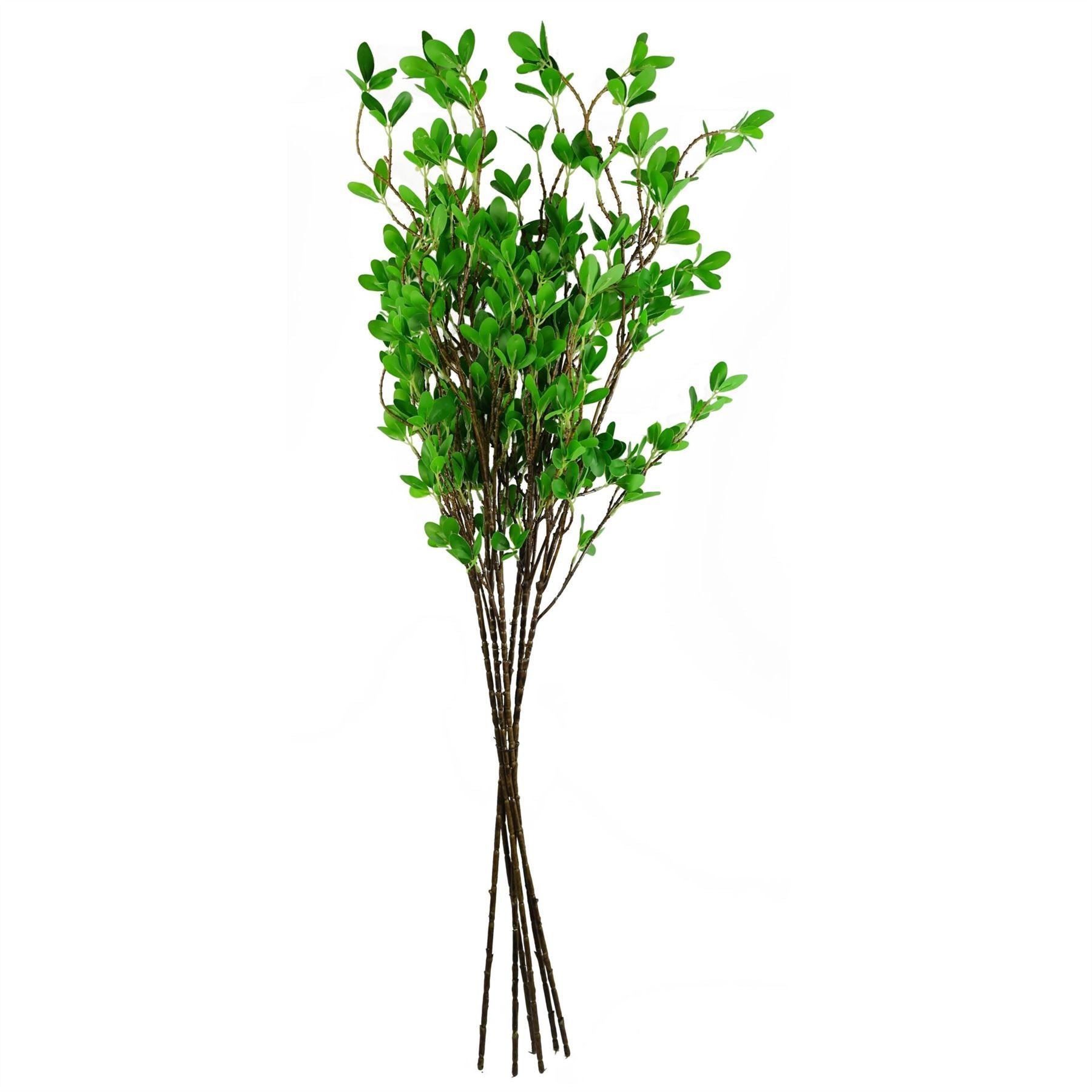 Realistic 100cm Mini Leaf Ficus Stems - Pack of 6 for Stunning Arrangements - plants - express.com