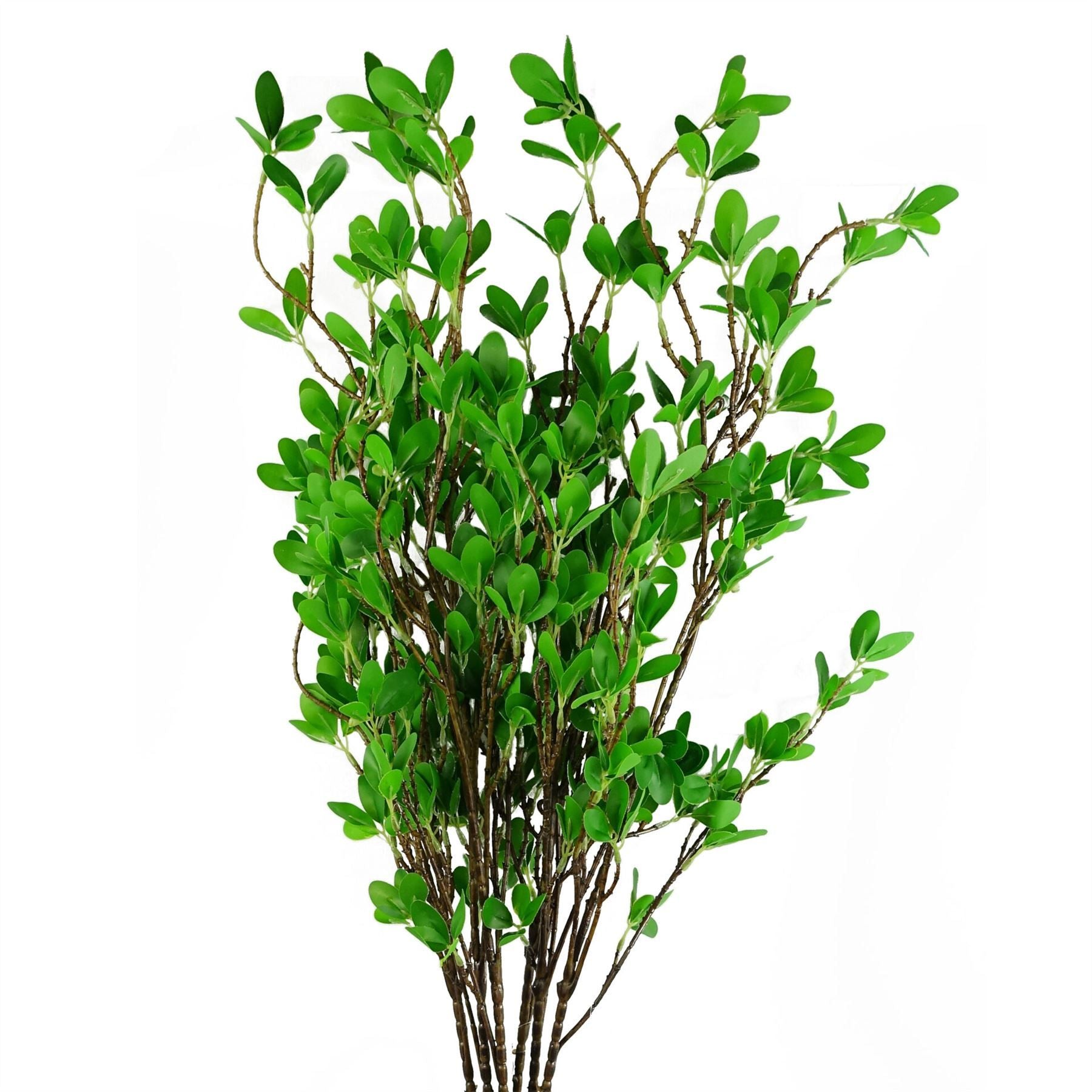 Realistic 100cm Mini Leaf Ficus Stems - Pack of 6 for Stunning Arrangements - plants - express.com