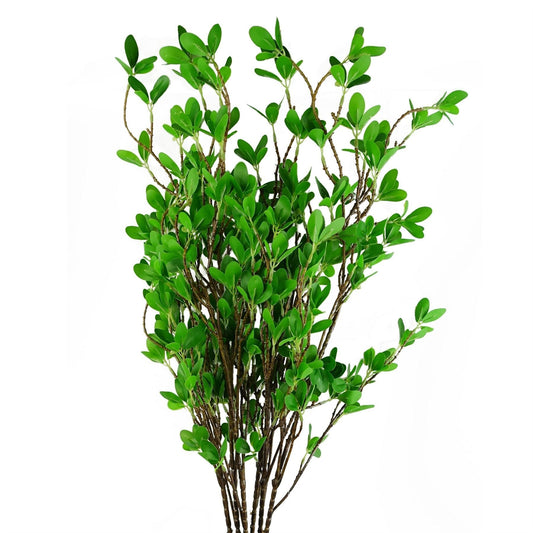 Realistic 100cm Mini Leaf Ficus Stems - Pack of 6 for Stunning Arrangements - plants - express.com