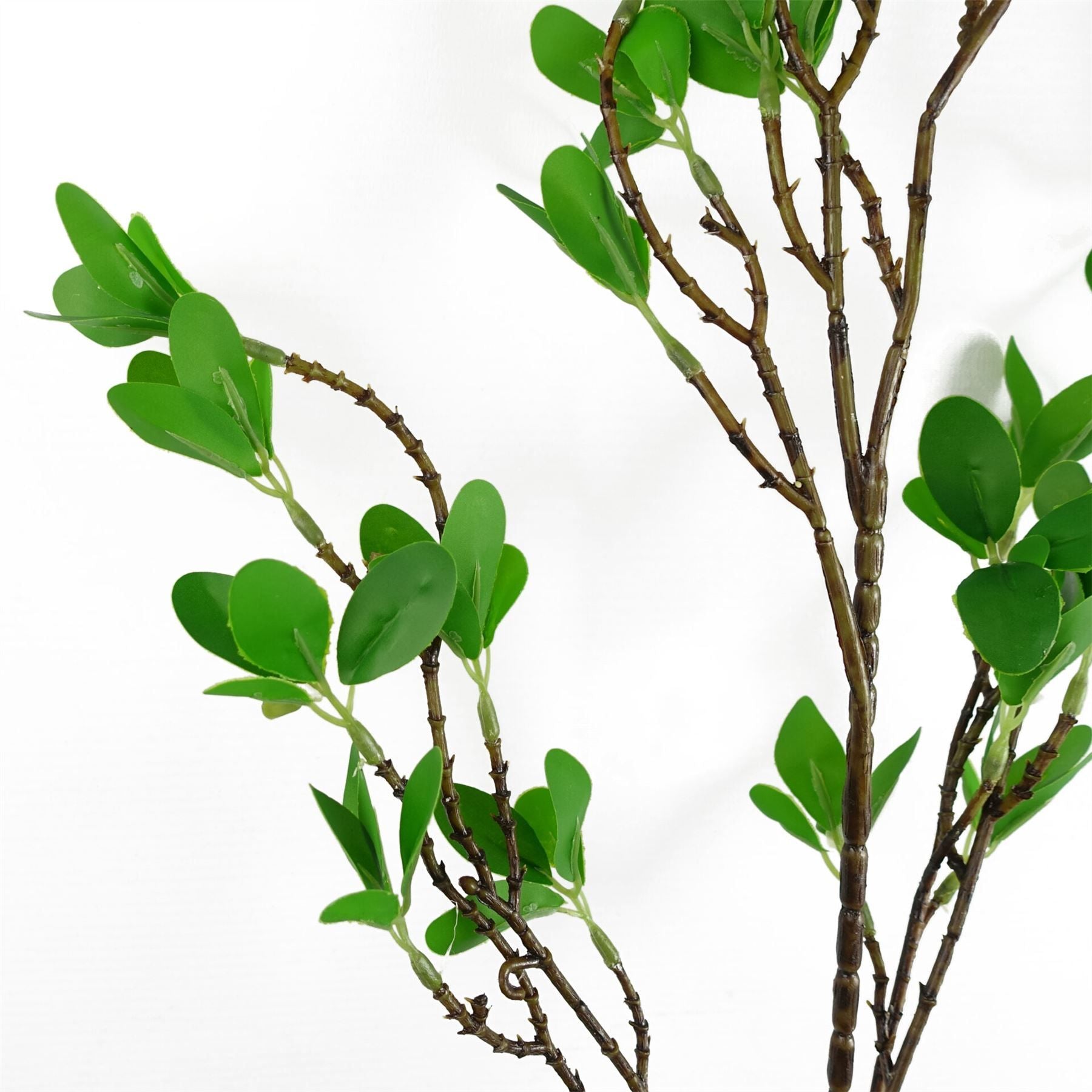 Realistic 100cm Mini Leaf Ficus Stems - Pack of 6 for Stunning Arrangements - plants - express.com