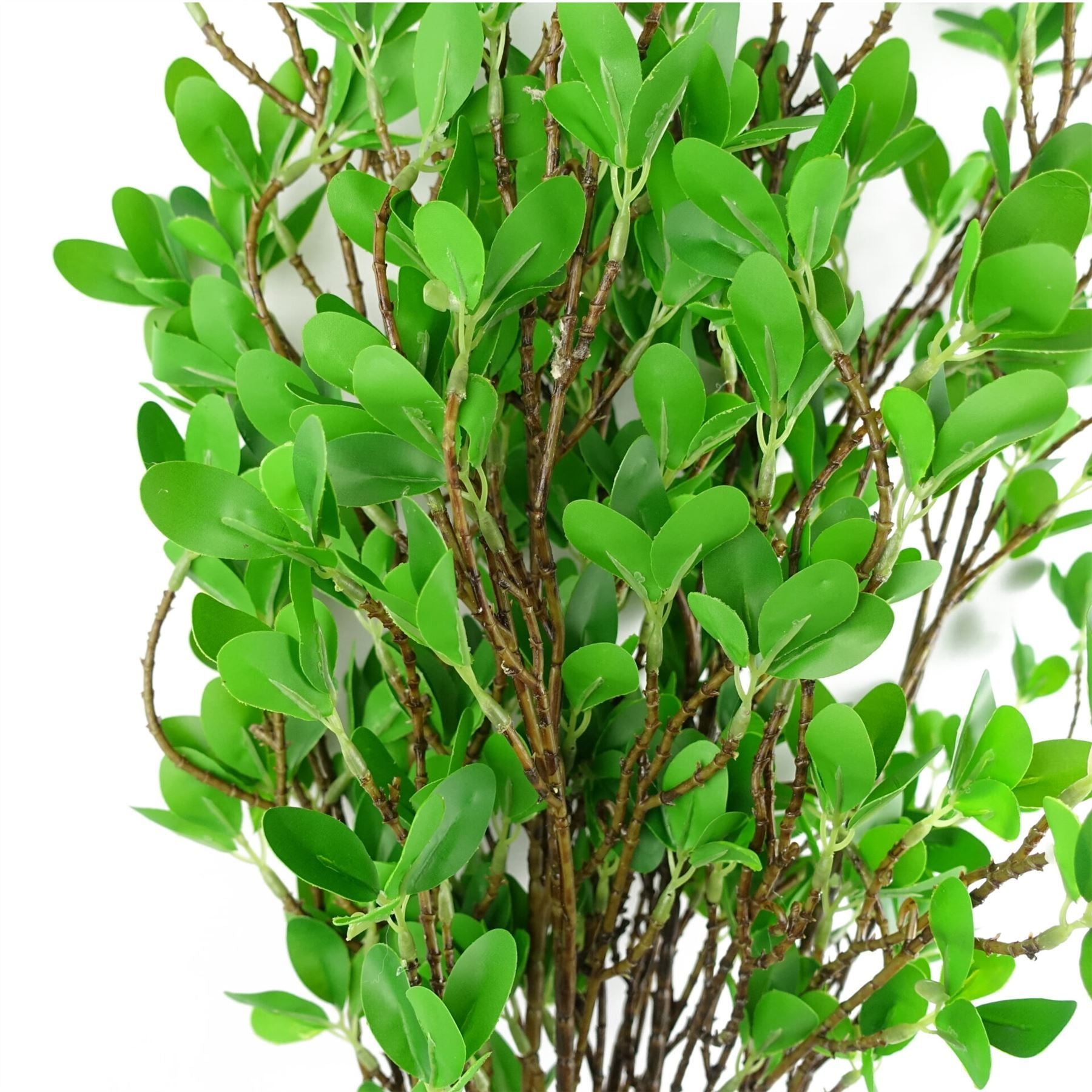 Realistic 100cm Mini Leaf Ficus Stems - Pack of 6 for Stunning Arrangements - plants - express.com