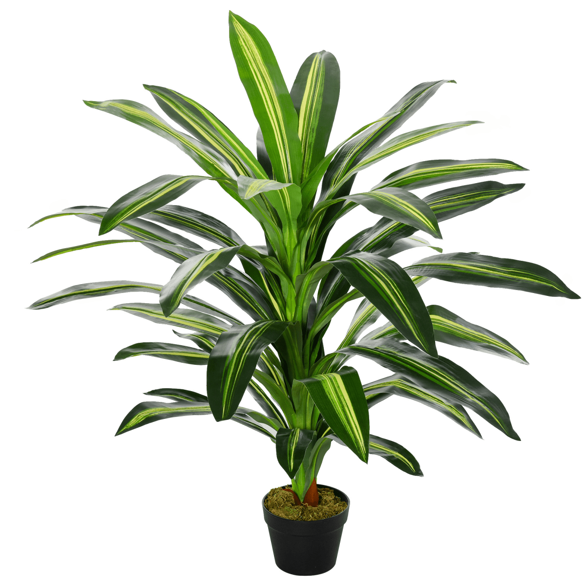 Realistic 110cm Artificial Dracaena Tree - Maintenance - Free Indoor Decor - plants - express.com