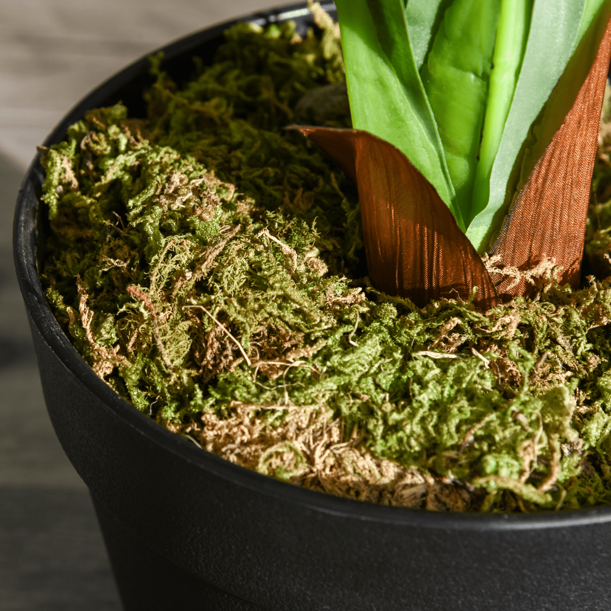 Realistic 110cm Artificial Dracaena Tree - Maintenance - Free Indoor Decor - plants - express.com