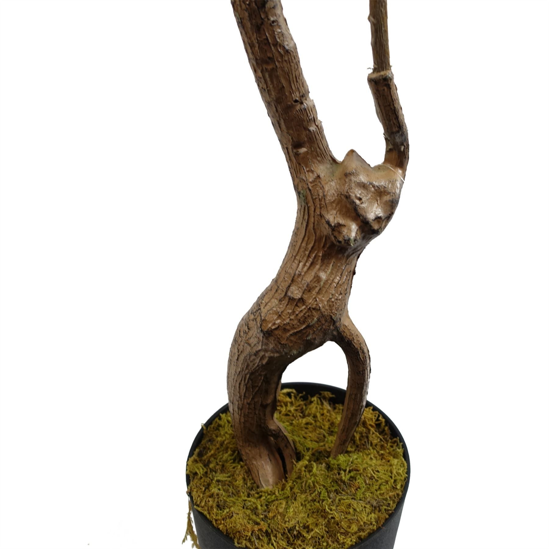Realistic 110cm Artificial Toona Sinensis Tree – No Maintenance Required! - plants - express.com