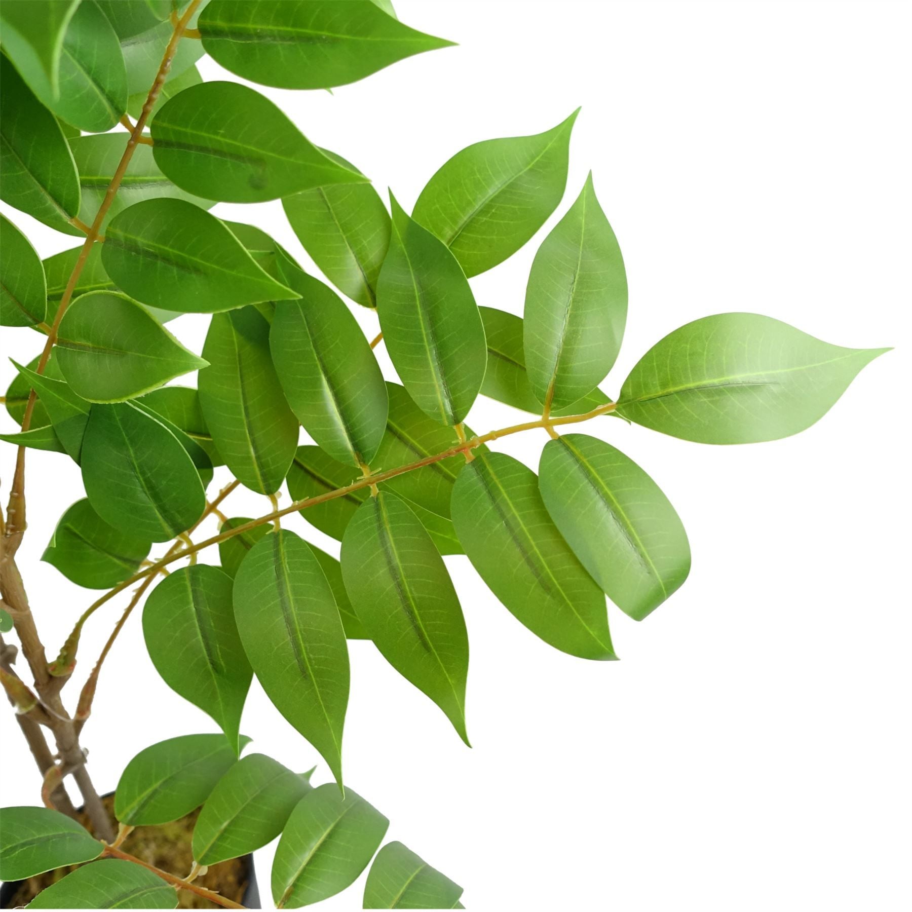 Realistic 110cm Artificial Toona Sinensis Tree – No Maintenance Required! - plants - express.com