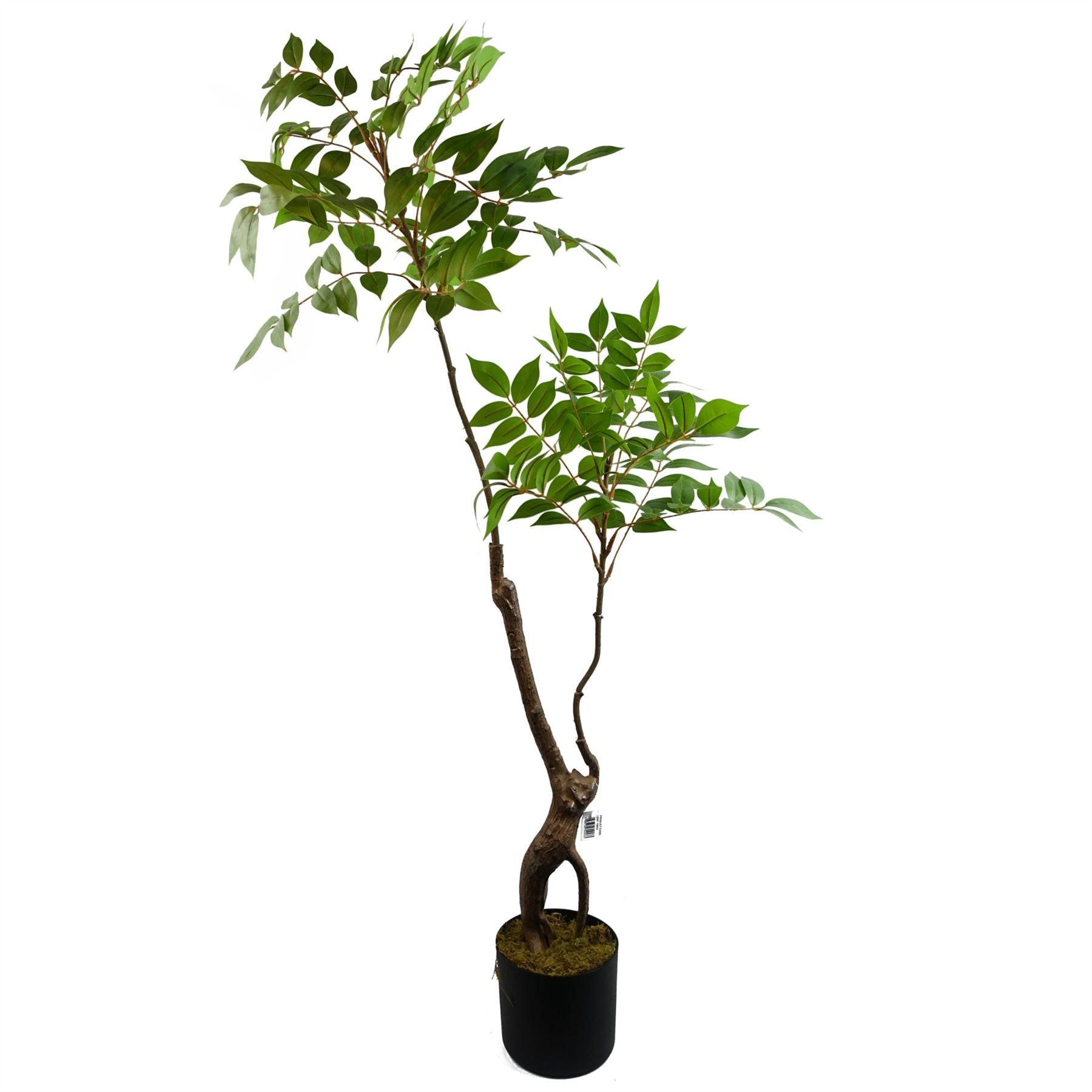 Realistic 110cm Artificial Toona Sinensis Tree – No Maintenance Required! - plants - express.com