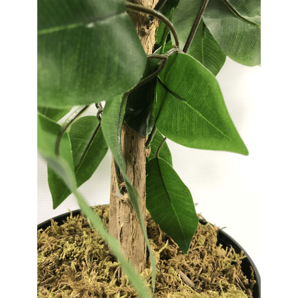 Realistic 120cm Artificial Ficus Tree with Elegant Metal Planter - plants - express.com